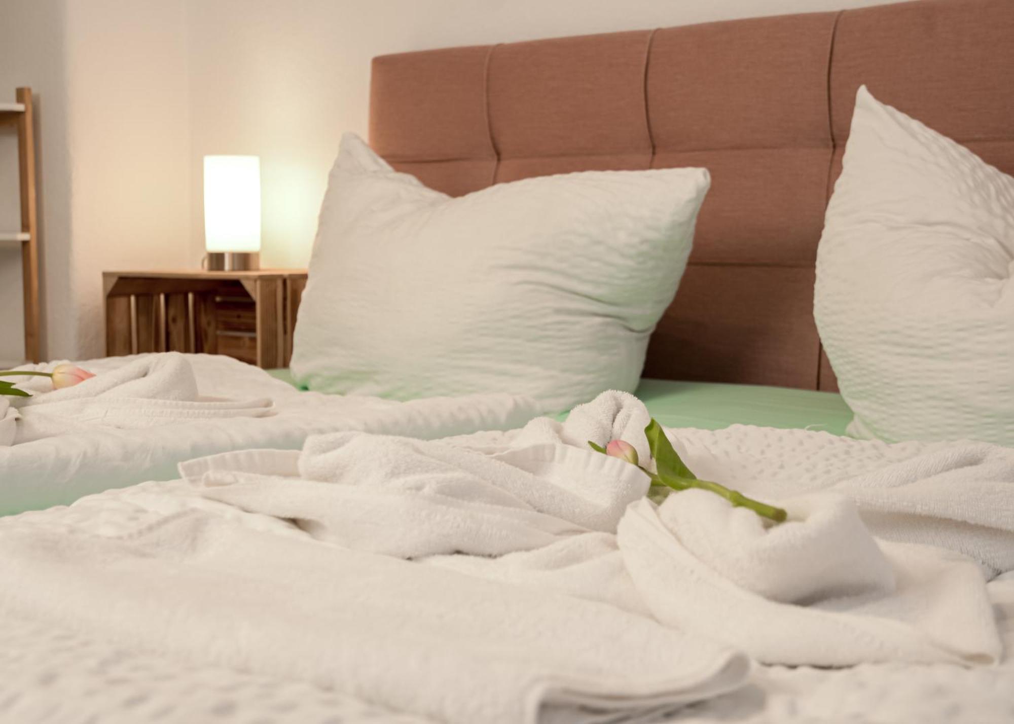 Apartmenthaus Rankestrasse 4 دريسدن المظهر الخارجي الصورة